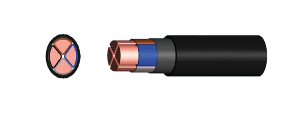 pro_detail_1